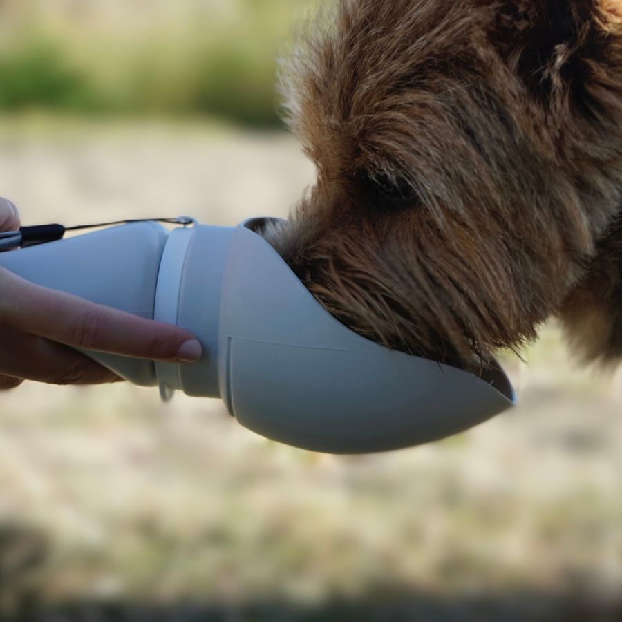 Water Bottle